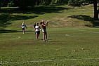 img_1564.jpg