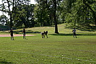 img_1571.jpg