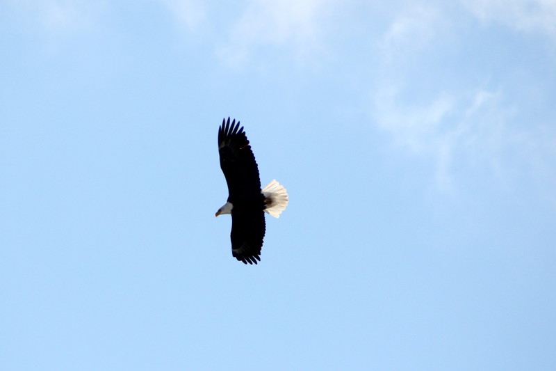 img_9310.jpg