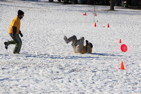 img_9333.jpg
